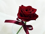 roses symbol of love 07[1]