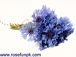 Blue Flower Bouquet 1