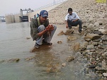 Imran want to lick water , and taha is looking