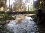 Stream in Lion Safari Park Bahwalpur Pakistan