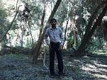 Forest behind the Aati