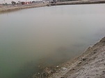 Fish Farm, In Bio Park BZU Multan