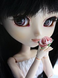 49707 100000923690764 6293 n