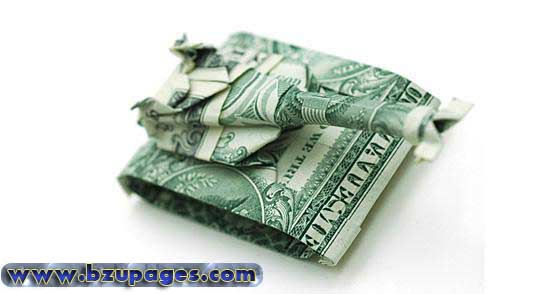 Art of Paper Folding (11)