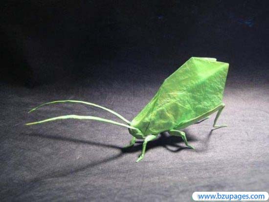 Papers Hand Made  Creations (22)