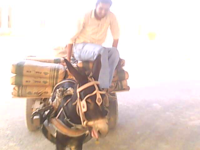 ON Mission Impossible " "