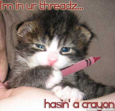 Cute Cats with comments (19)