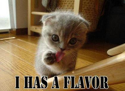 Cute Cats with comments (20)