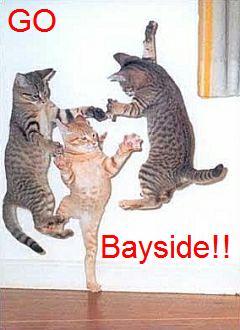 Cute Cats with comments (31)