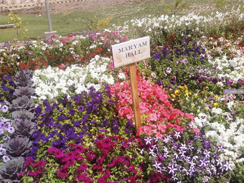 BZU Flower Exhibition 2