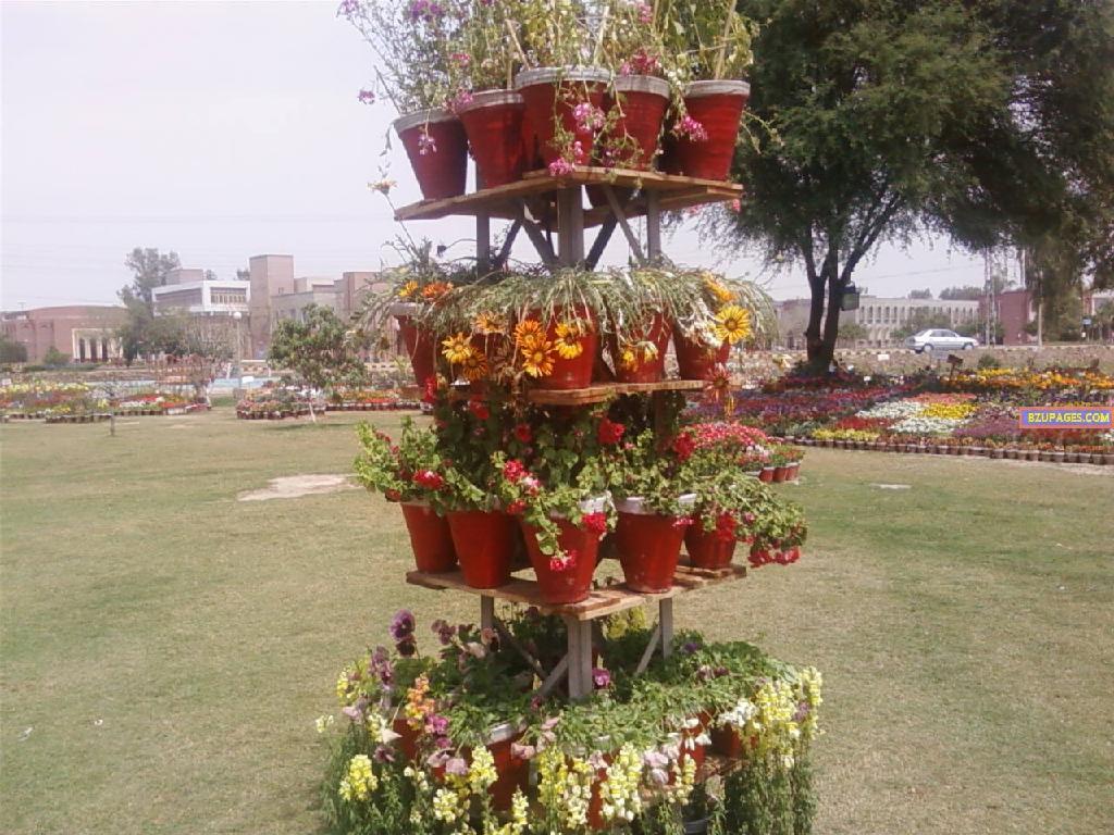 BZU Flower Exhibition 23