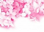 Wallpaper Pink Flowers1 rot 270